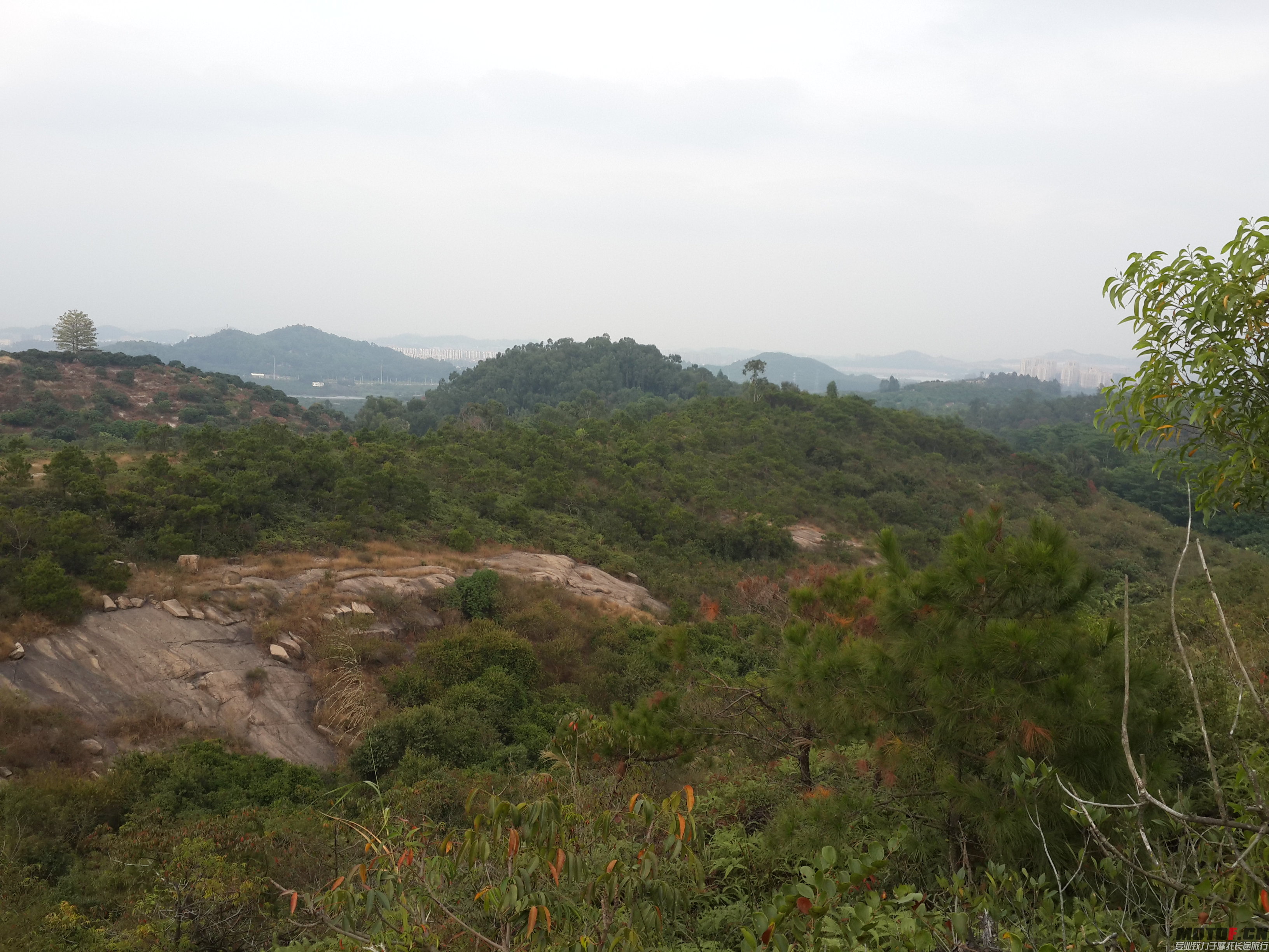 20141129_164334.jpg