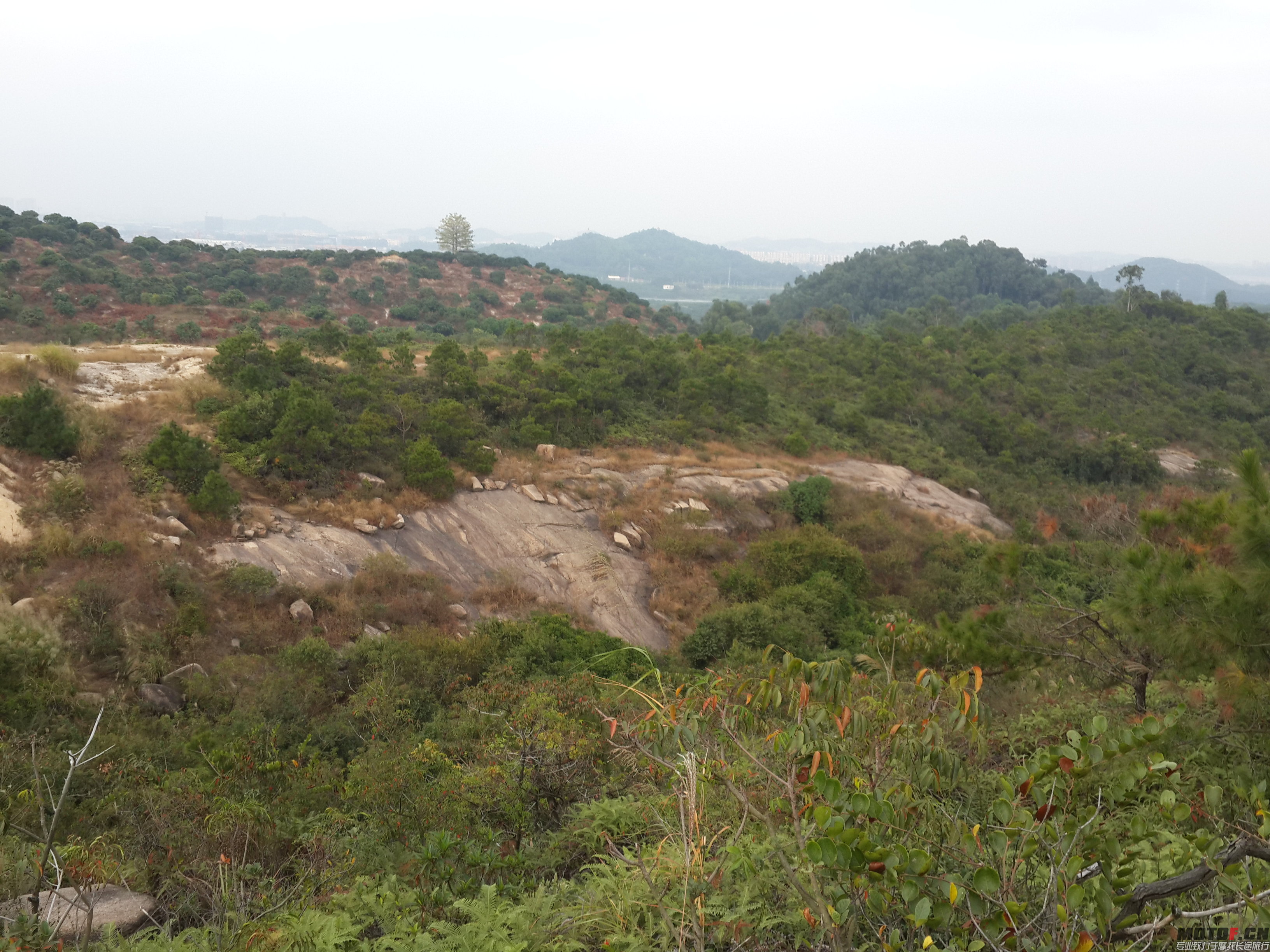 20141129_164322.jpg