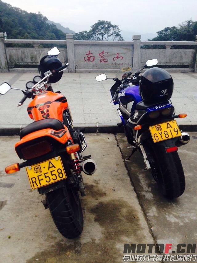 合照。