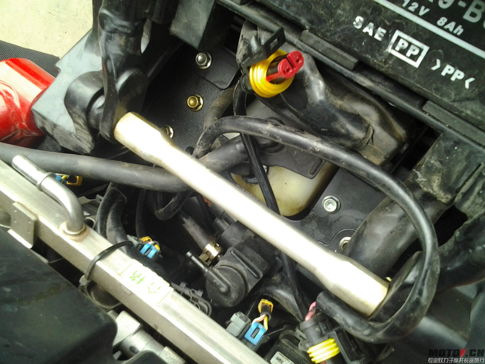 20141102_143425.jpg
