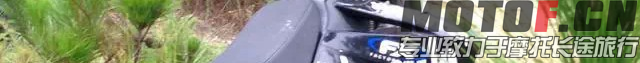 正林1.bmp