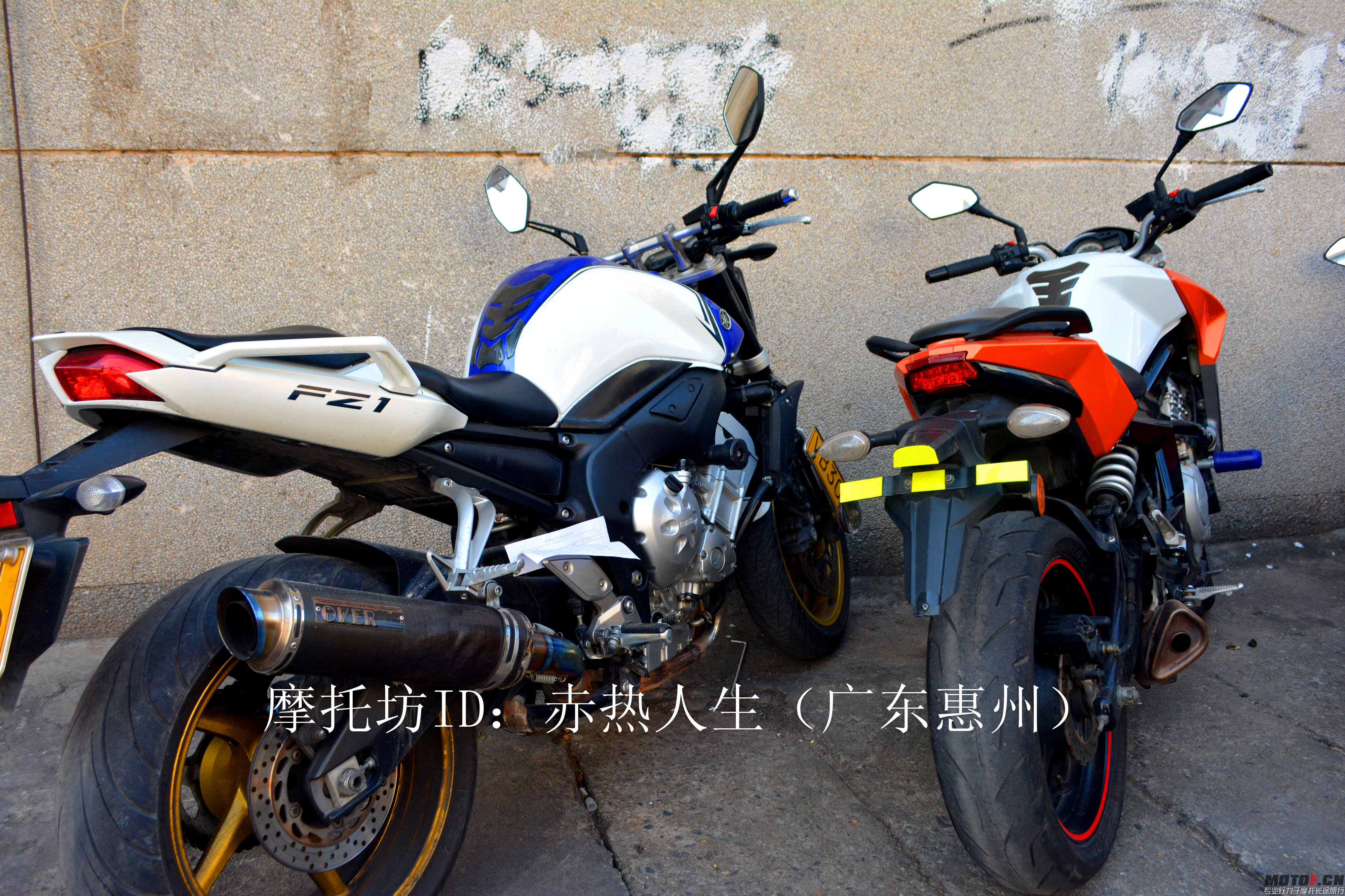 DSC_1017_副本_副本.jpg
