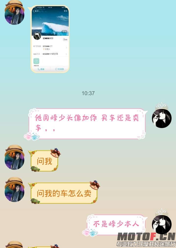 image.jpg