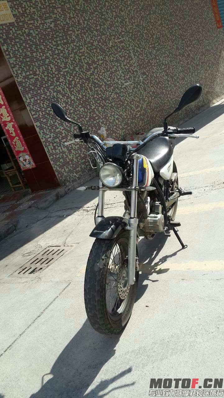 6878_3311203.jpg