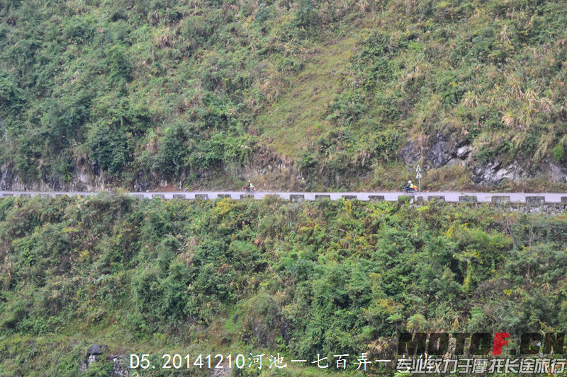 DSC_7491.jpg
