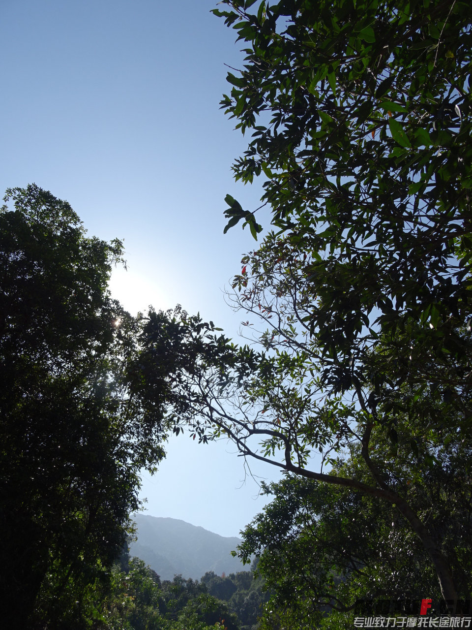 DSC06157.jpg