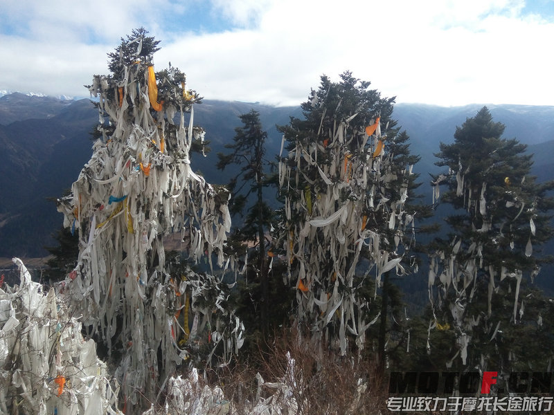 IMG_20141205_121647.jpg
