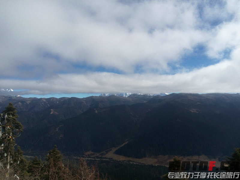 IMG_20141205_121725.jpg