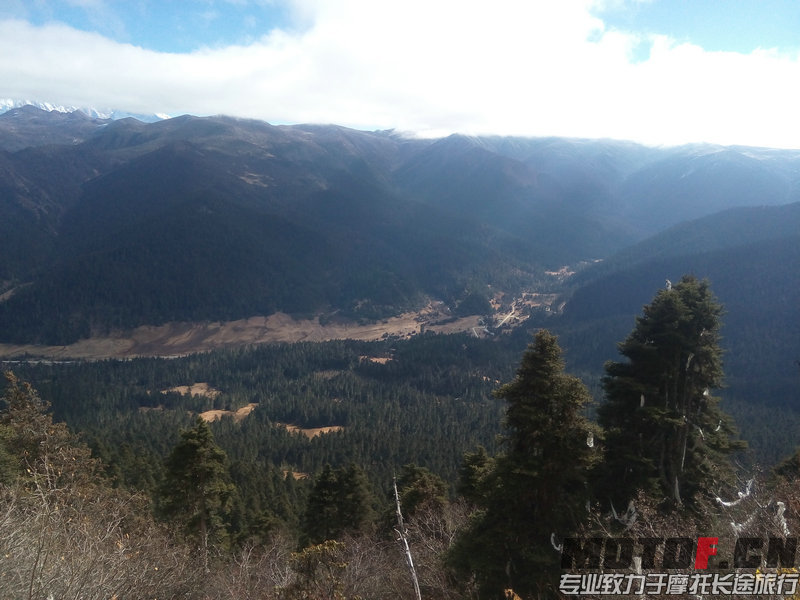 IMG_20141205_121901.jpg