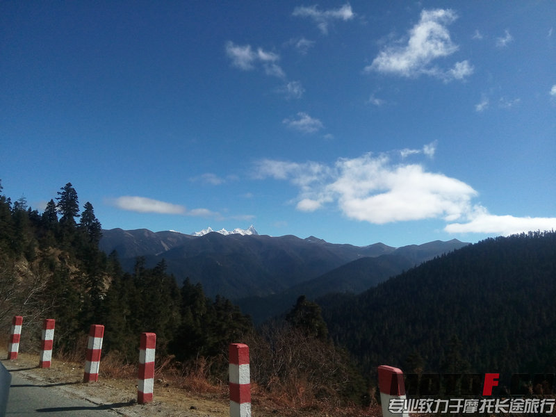 IMG_20141205_122811.jpg