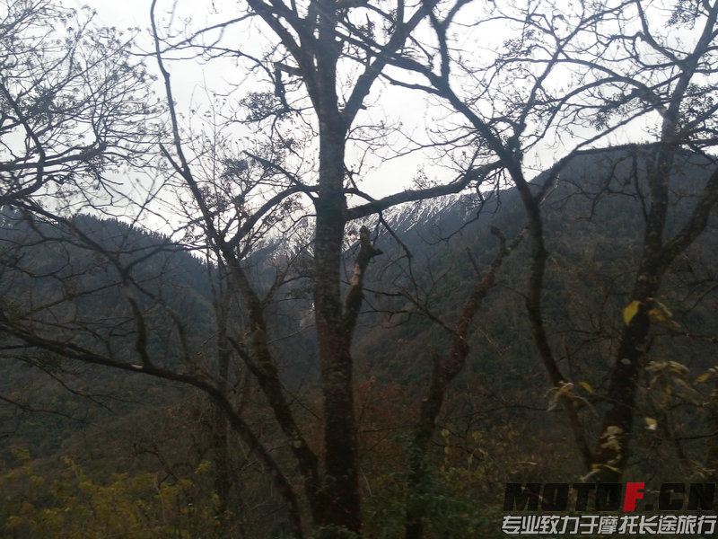 IMG_20141205_142535.jpg