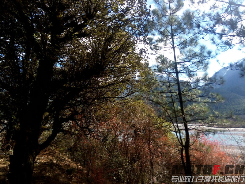 IMG_20141205_151342.jpg