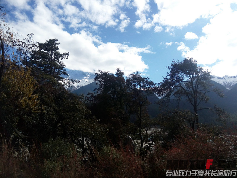 IMG_20141205_151406.jpg