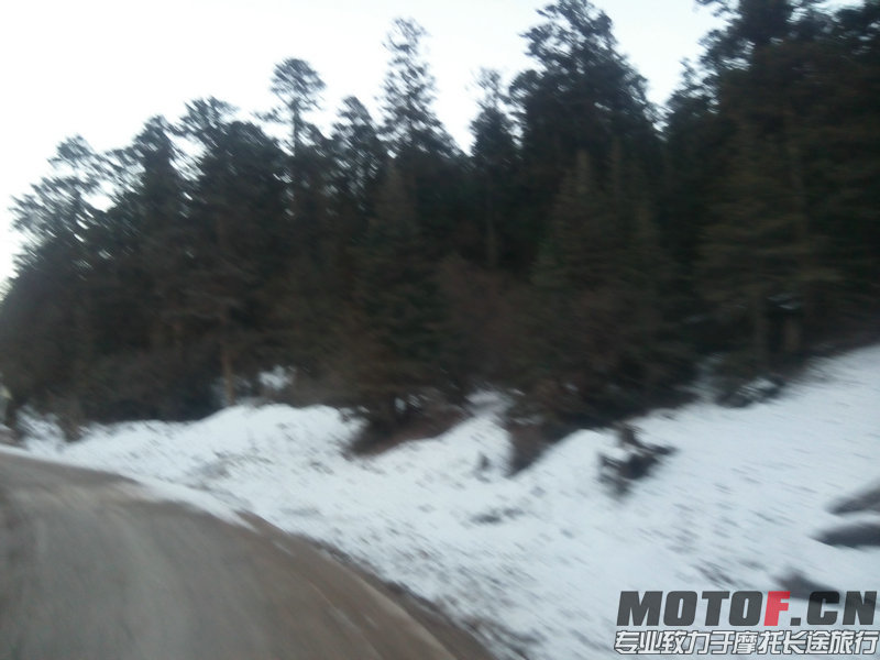 IMG_20141207_182734.jpg