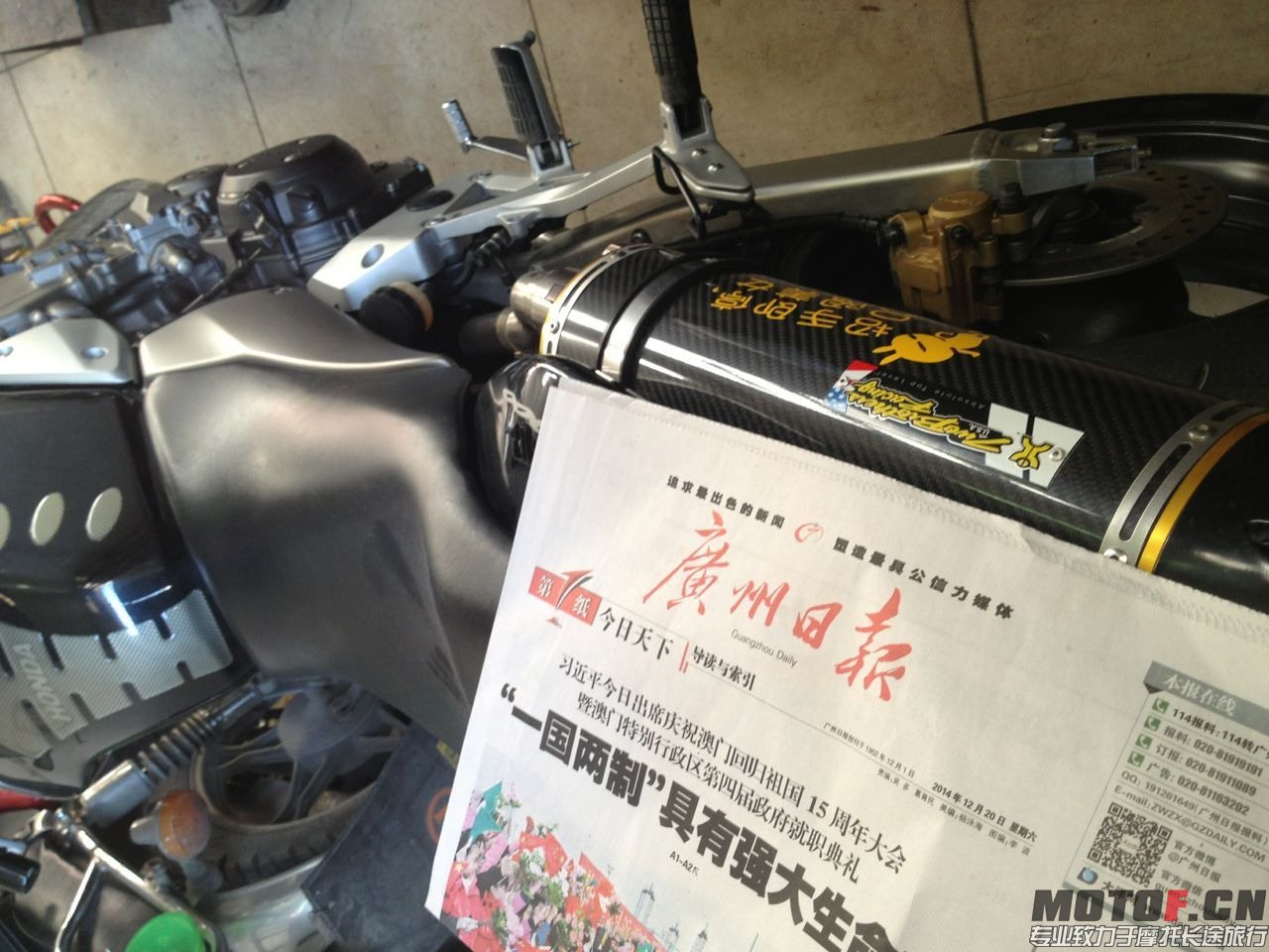 TIMG_440848200.13778.JPG