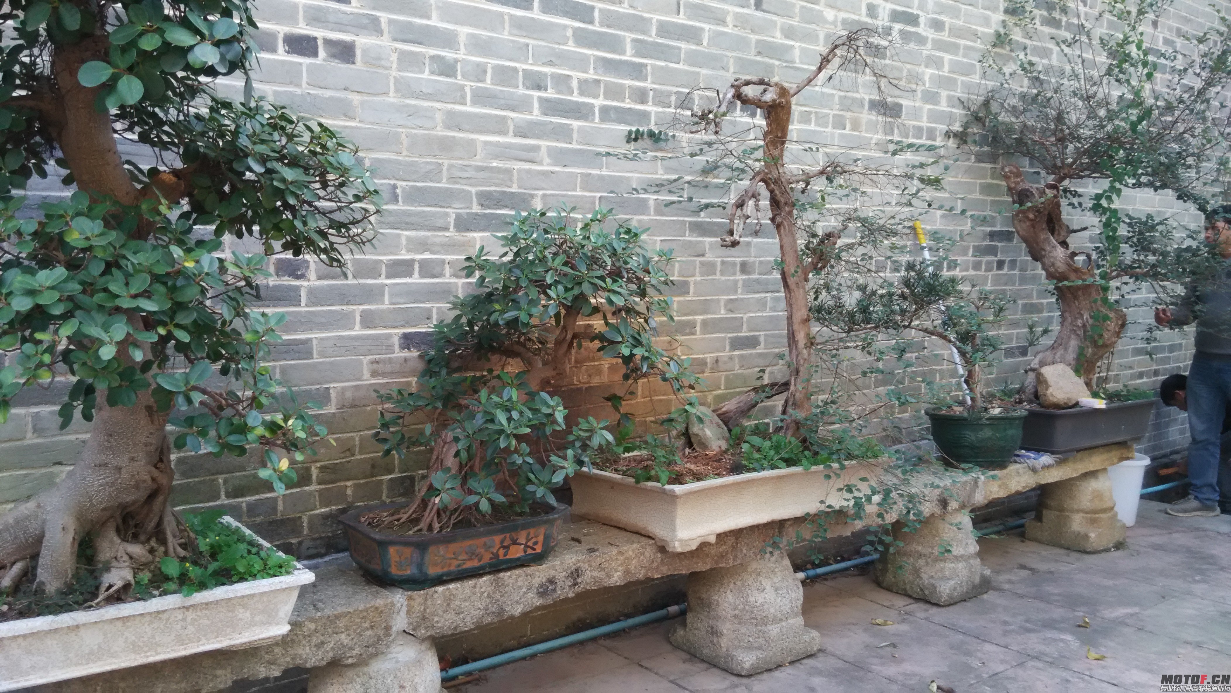 QQ图片20141222230249.jpg
