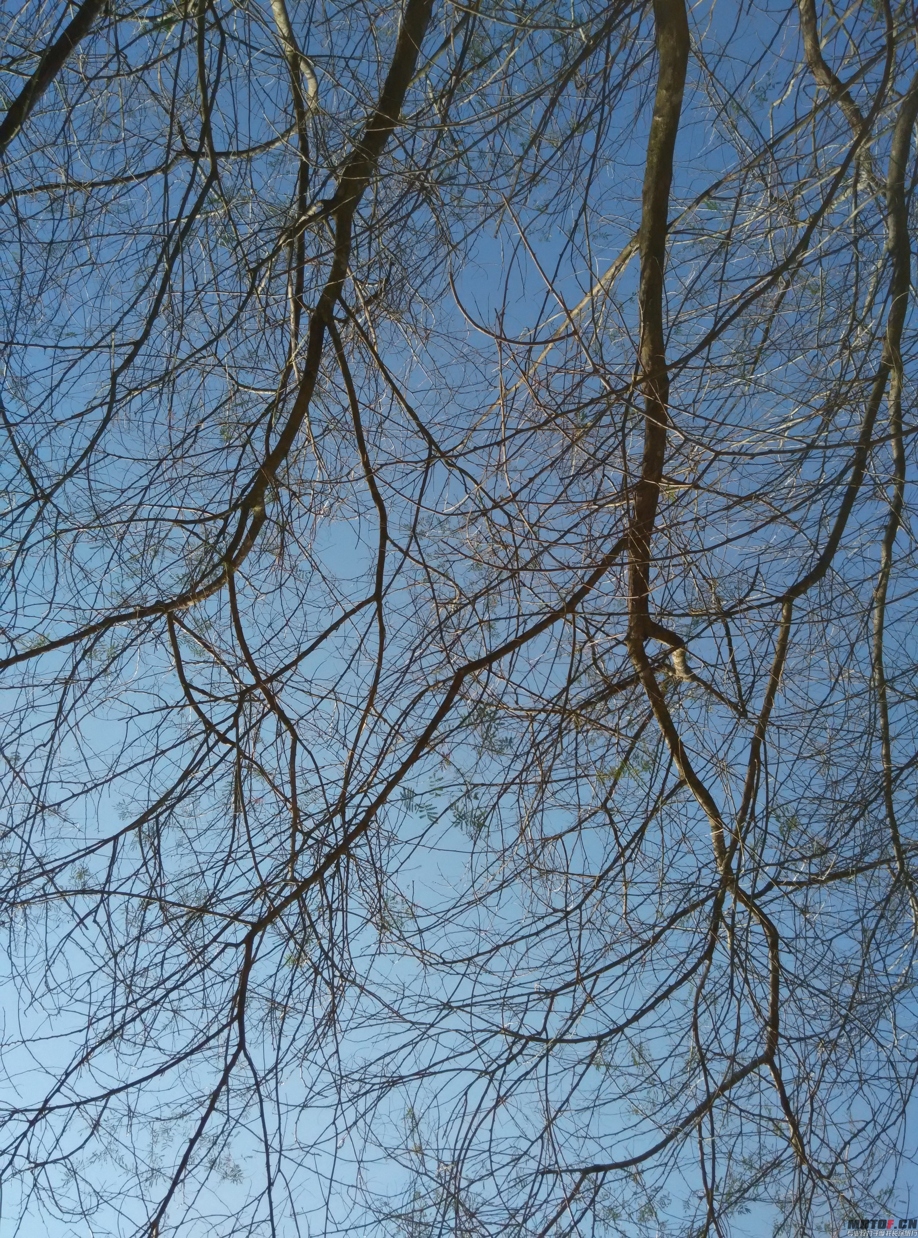 QQ图片20141222230302.jpg
