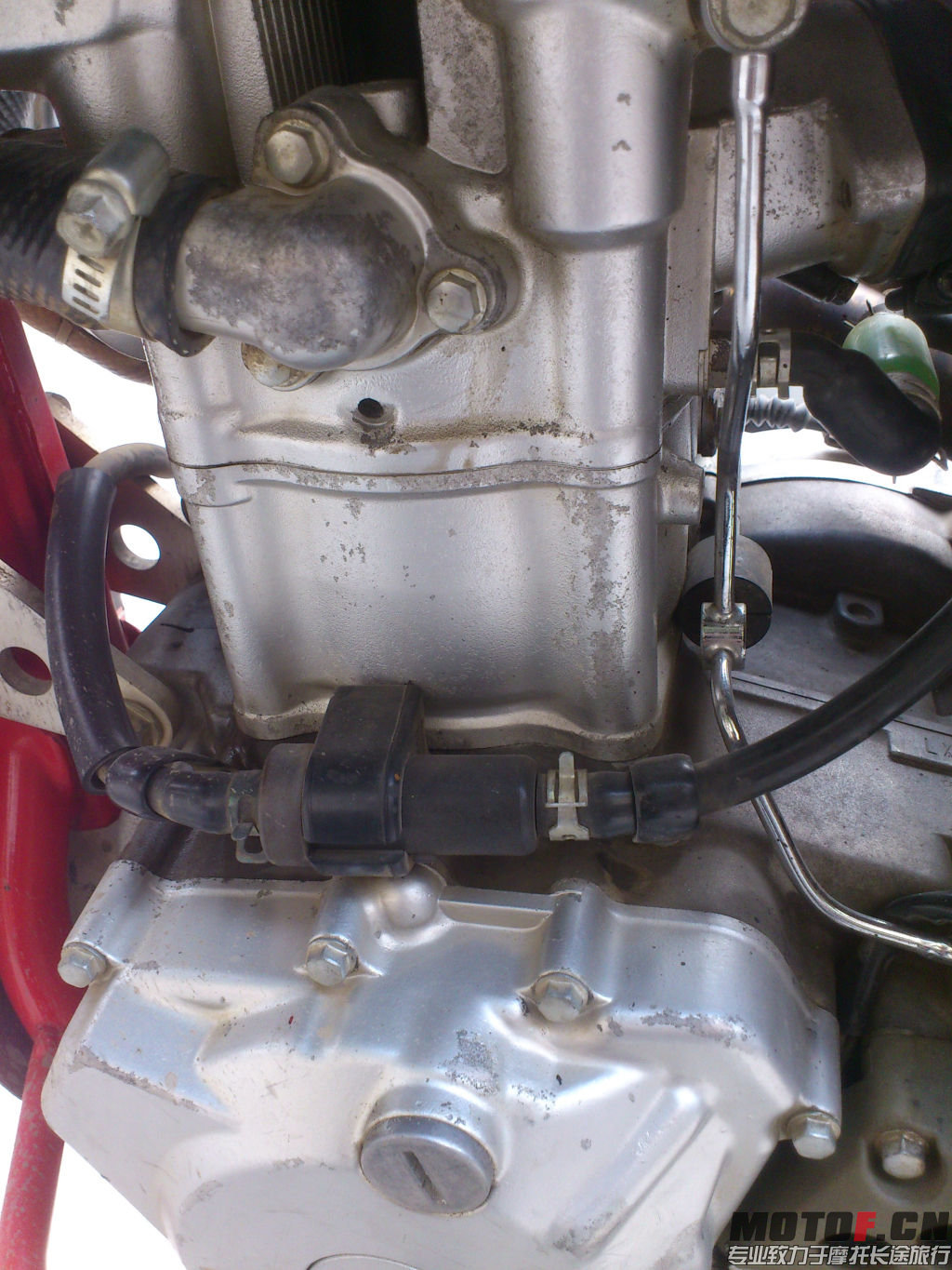 DSC_1381.jpg