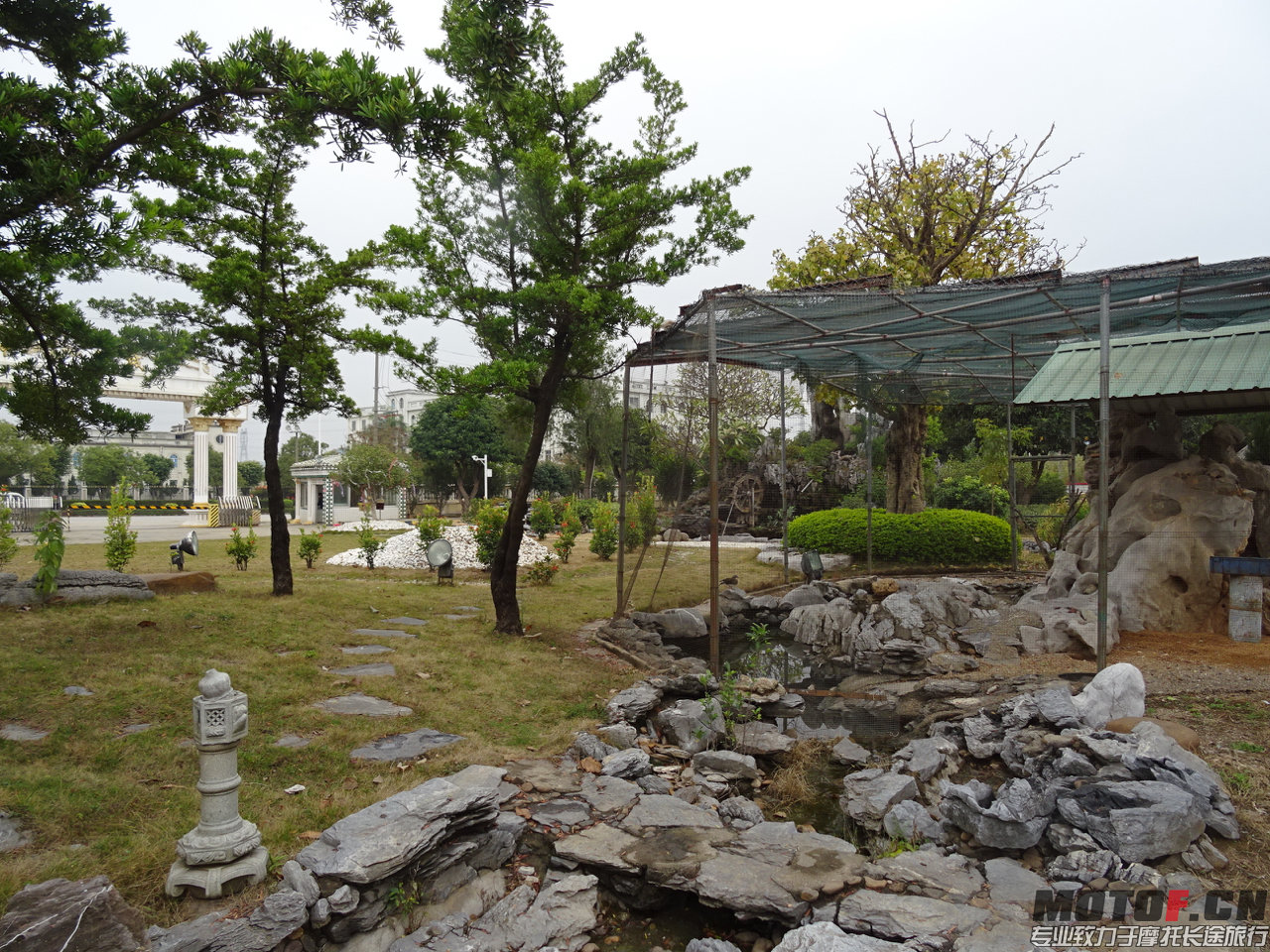 DSC06387.jpg