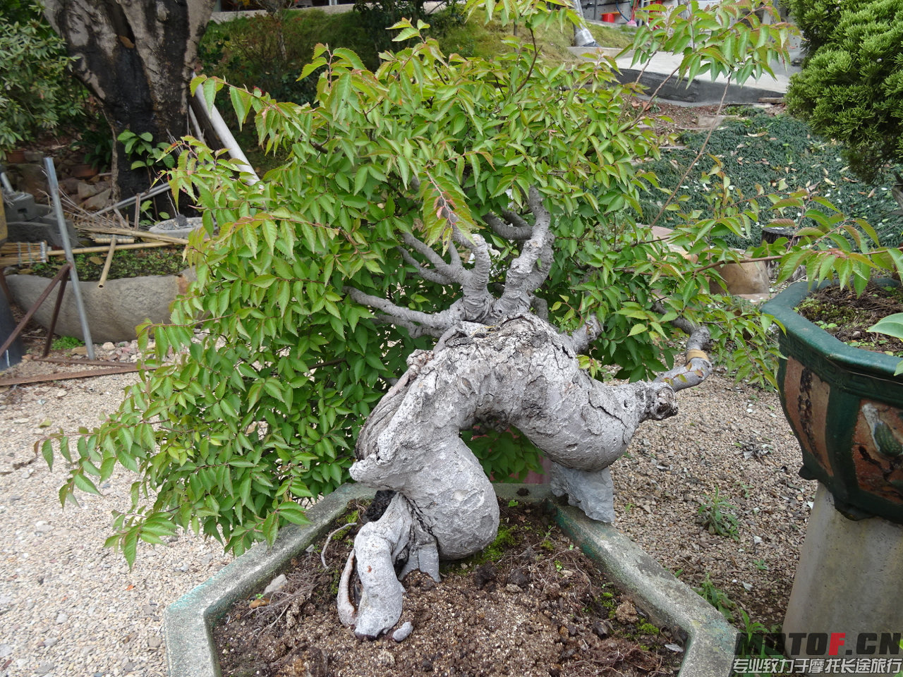DSC06434.jpg