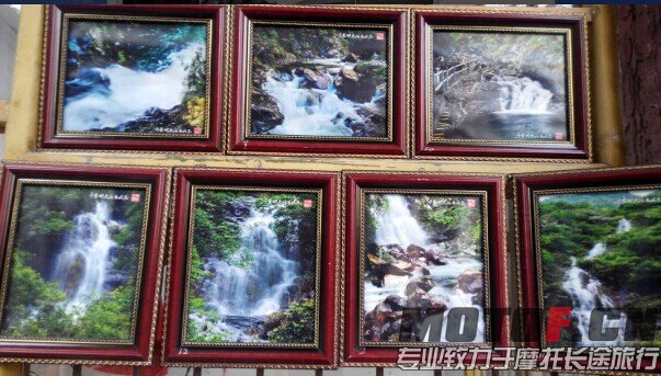 QQ图片20141231110525.jpg