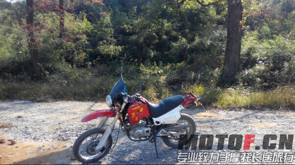 QQ图片20141231110236.jpg