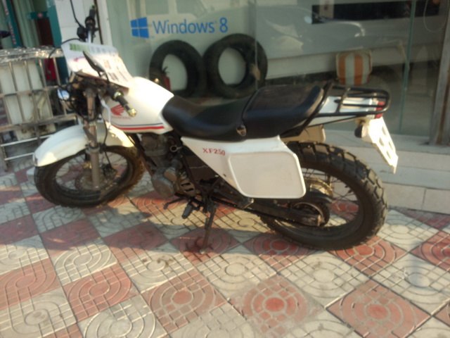 P50102-160600.jpg