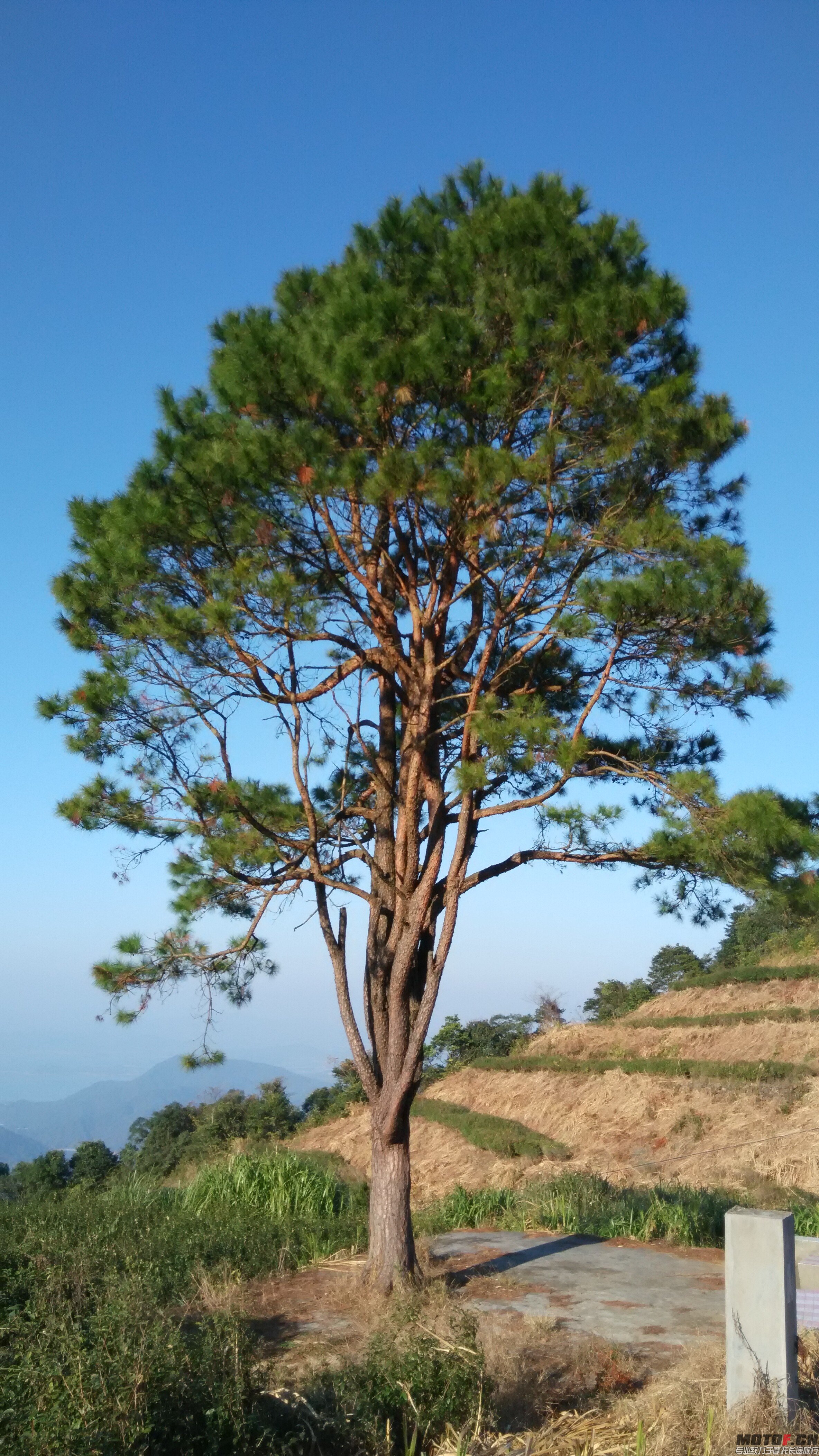 QQ图片20150105095258.jpg