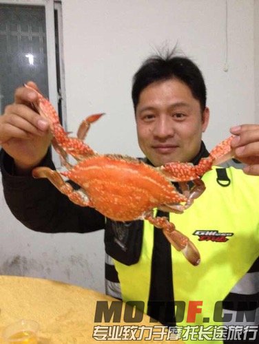image.jpg