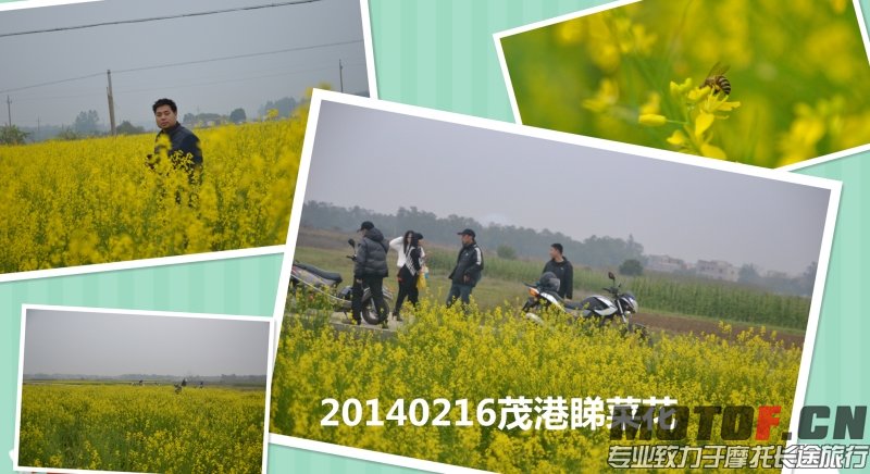 20140216.jpg