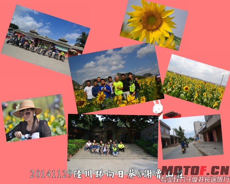 DSC_5190_副本.jpg