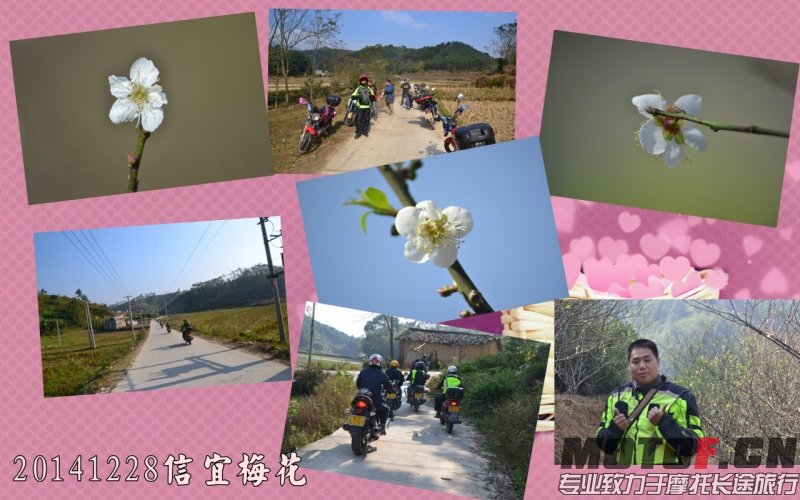 DSC_5190_副本_副本_副本.jpg