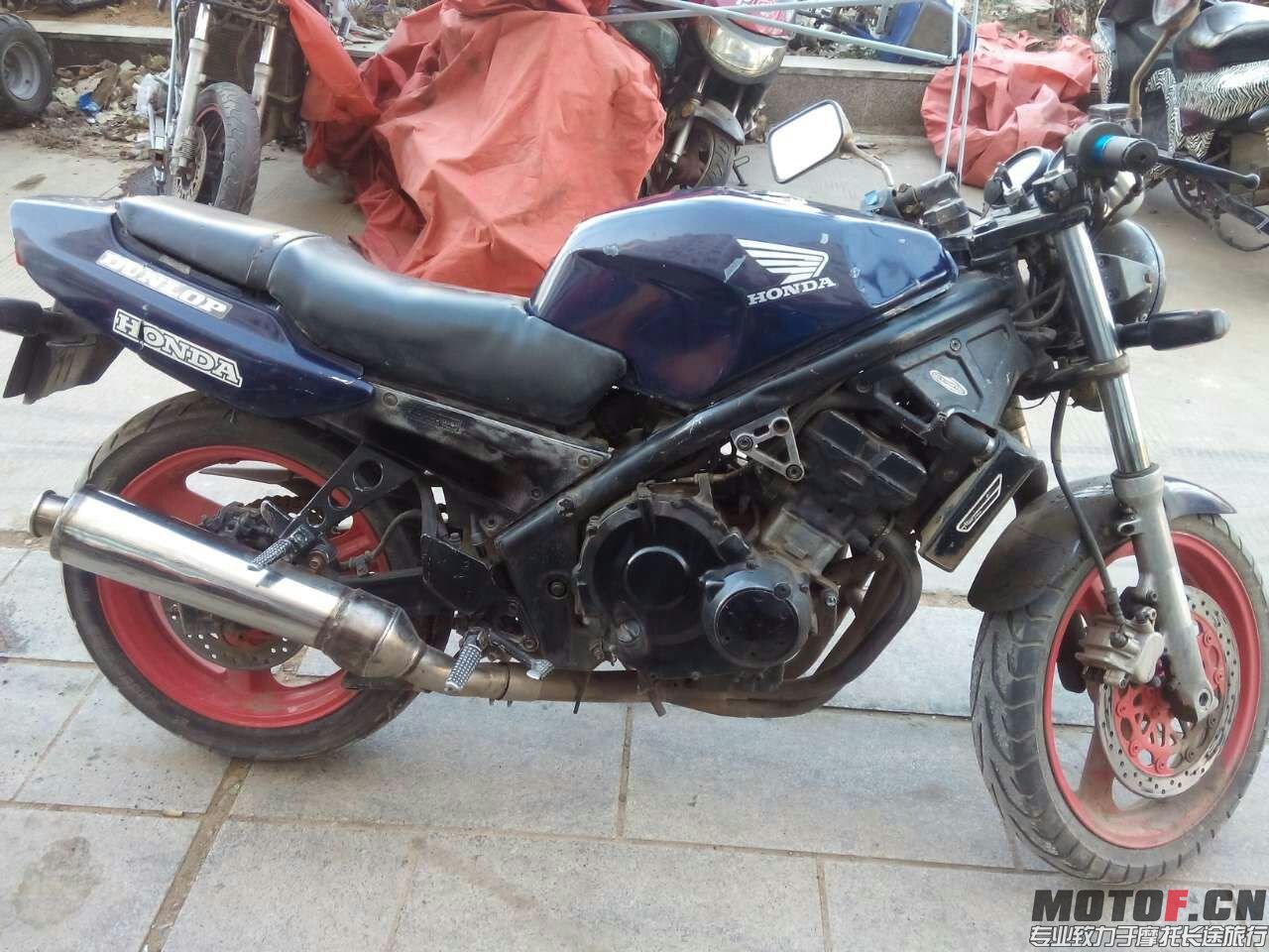 mmexport1418710775758.jpg