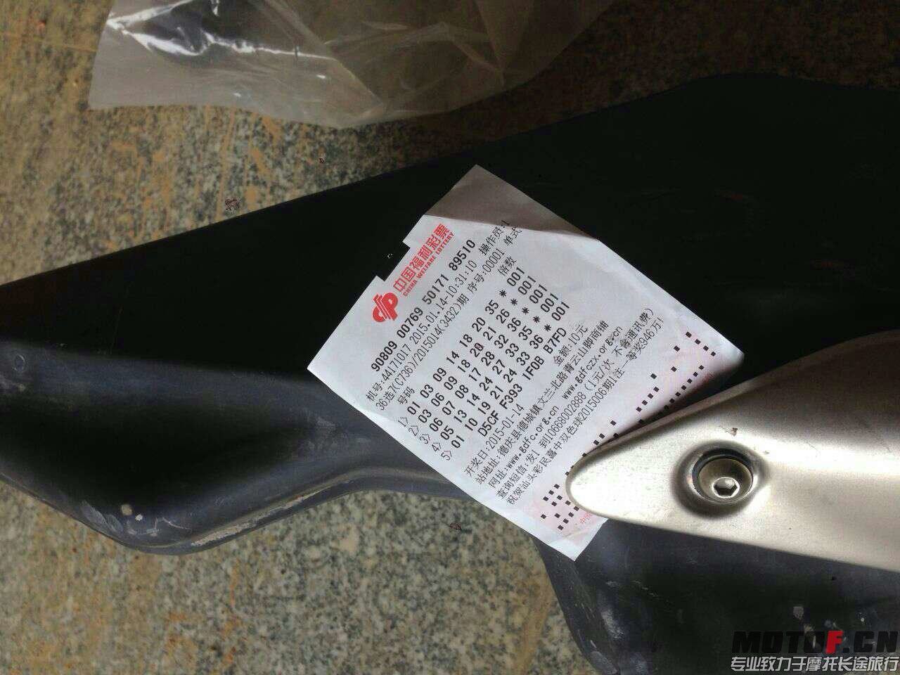 517857657.jpg