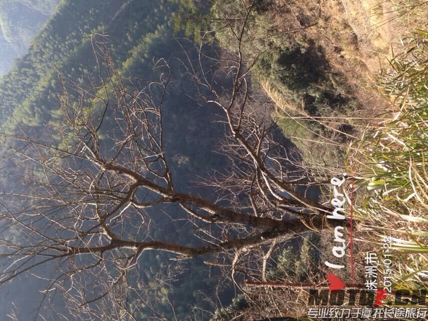 山上11.jpg
