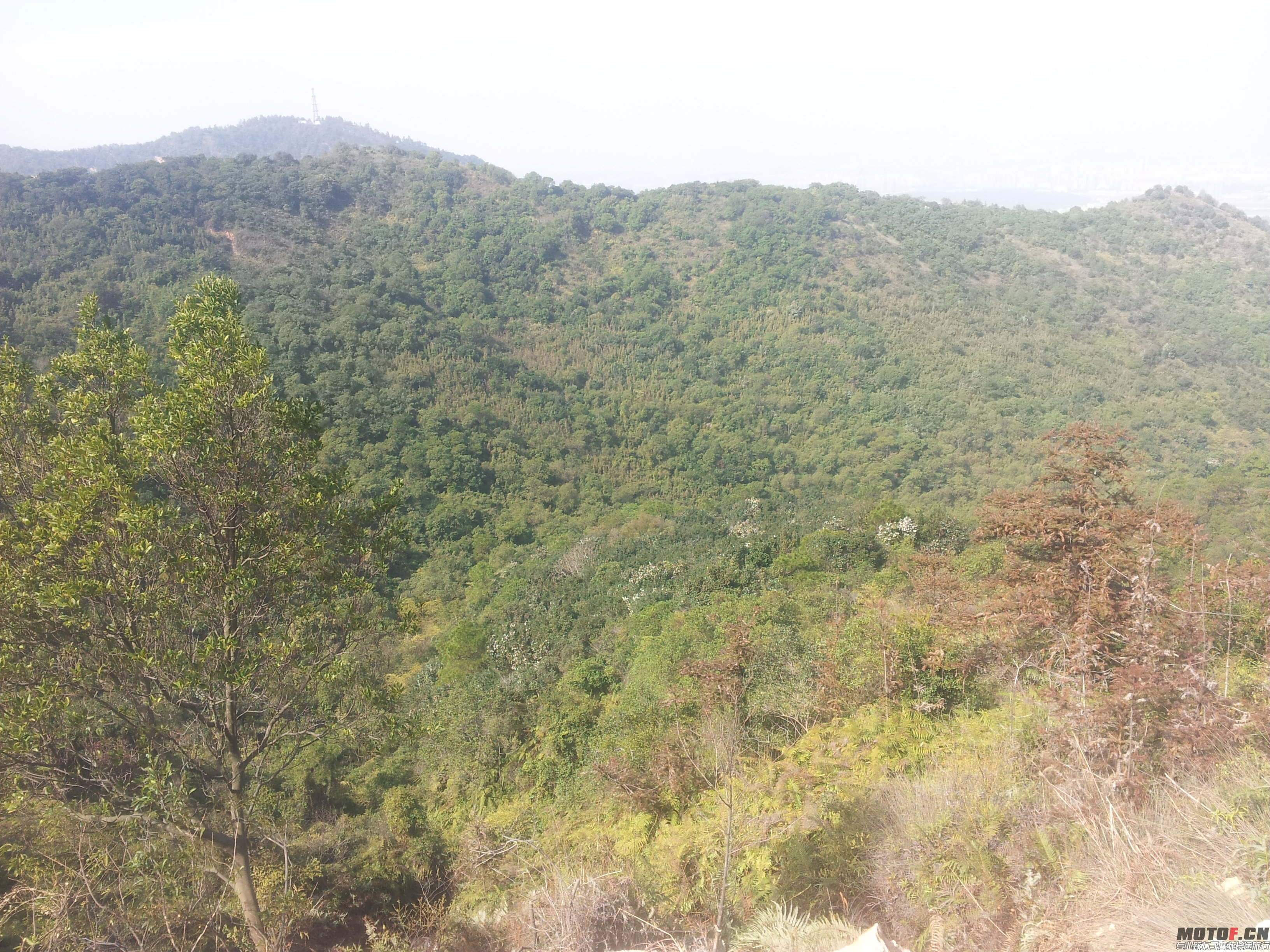 20150116_133242.jpg