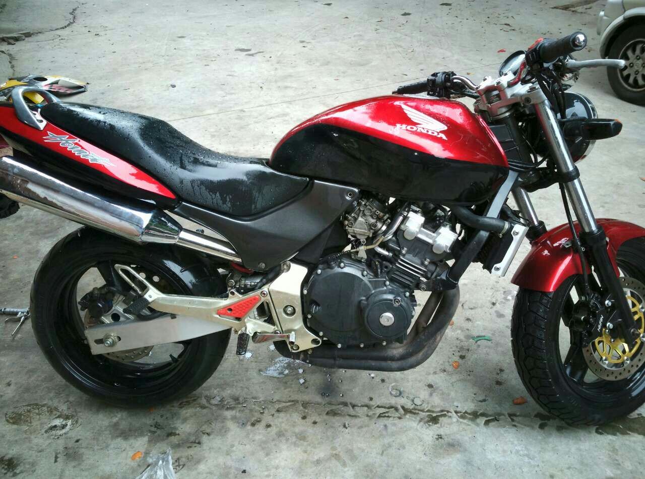 L1.jpg