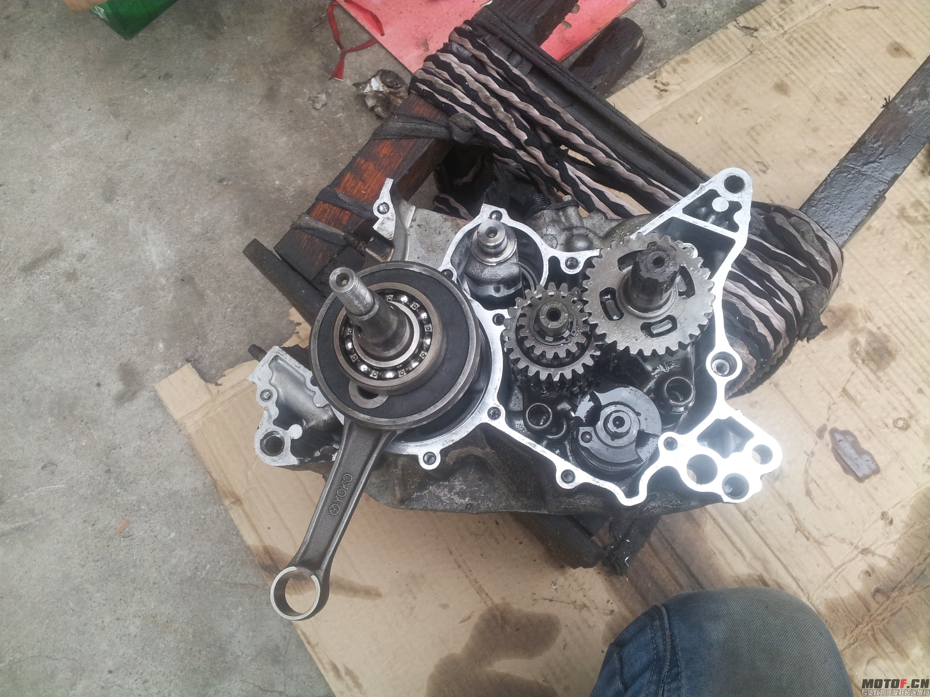20141104_094820.jpg