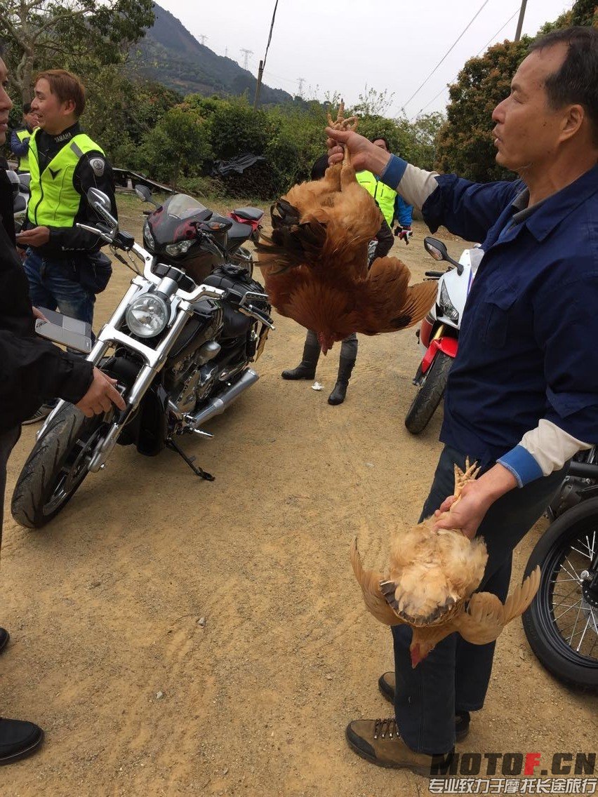 QQ图片20150202205920.jpg