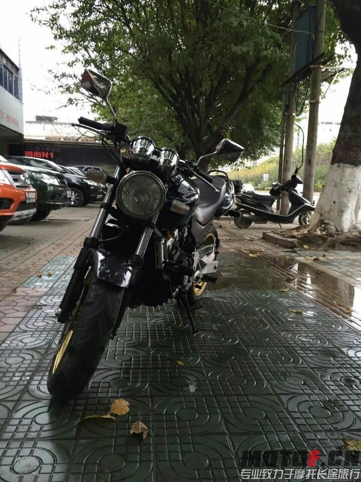 车头666.jpg