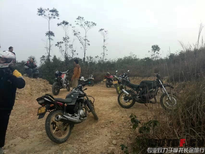 激情中 (2).jpg