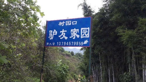 20140915_104758.jpg