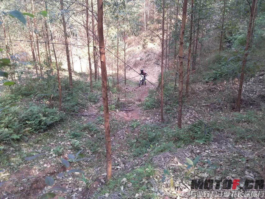 茶山快乐林道 (9).jpg