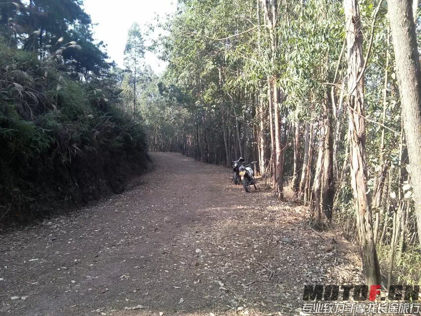 茶山快乐林道 (10).jpg