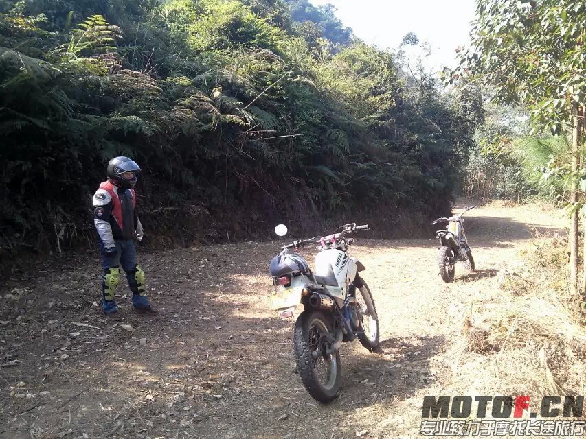 茶山快乐林道 (22).jpg