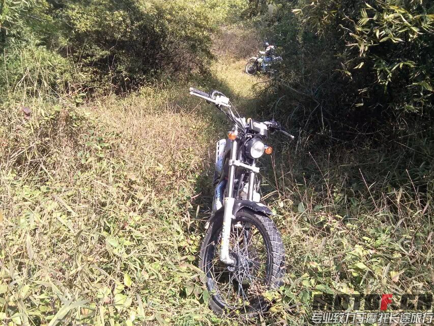 茶山快乐林道 (24).jpg