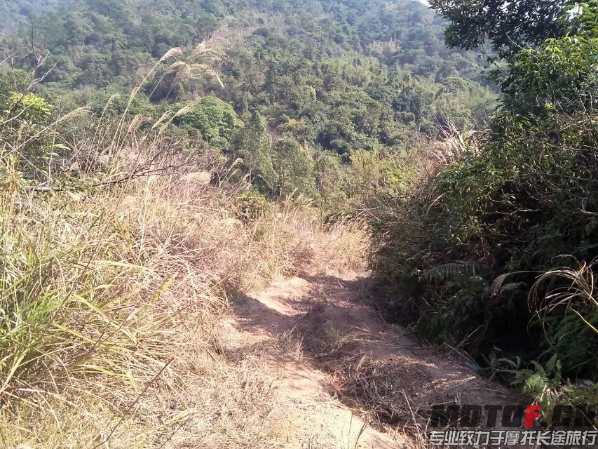 茶山快乐林道 (25).jpg