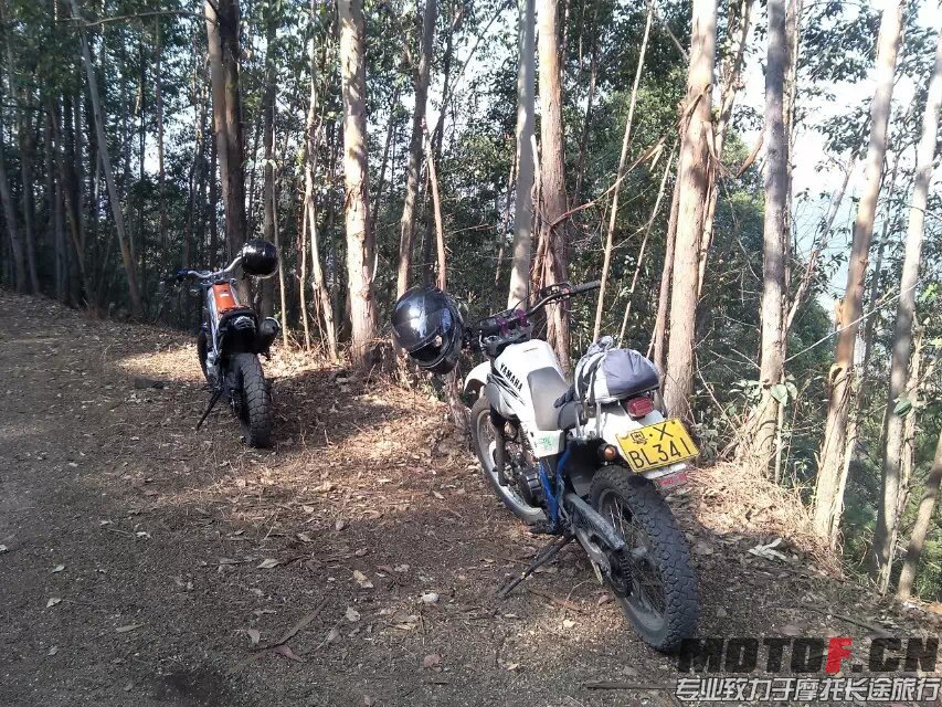 茶山快乐林道 (26).jpg
