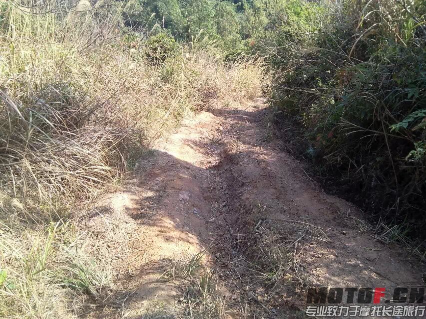 茶山快乐林道 (36).jpg