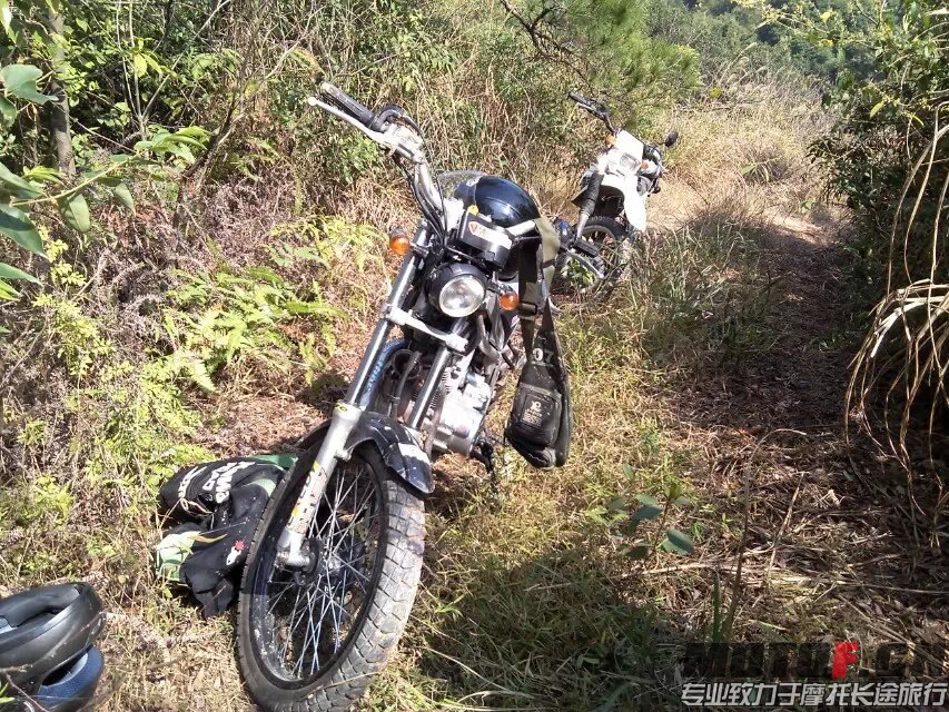 茶山快乐林道 (38).jpg